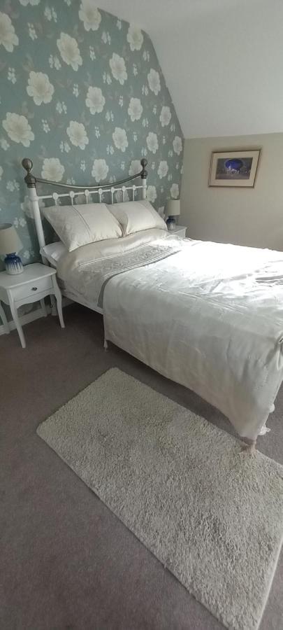 Large Family Home In Wexford Marys B&B เอนนิสคอร์ธี ภายนอก รูปภาพ