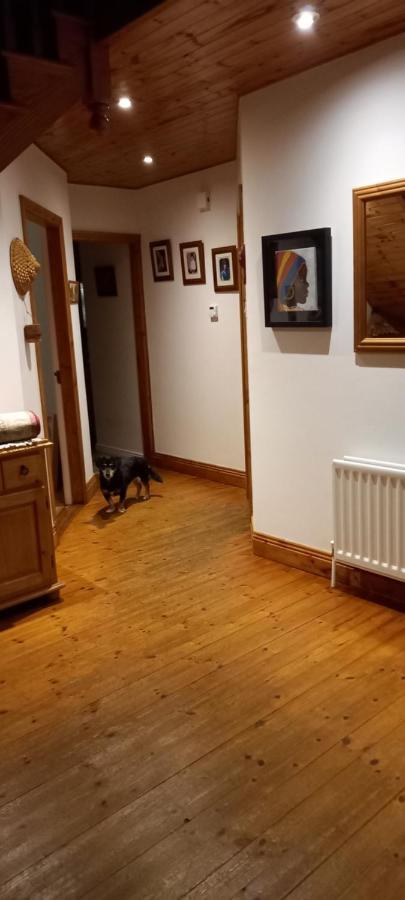 Large Family Home In Wexford Marys B&B เอนนิสคอร์ธี ภายนอก รูปภาพ