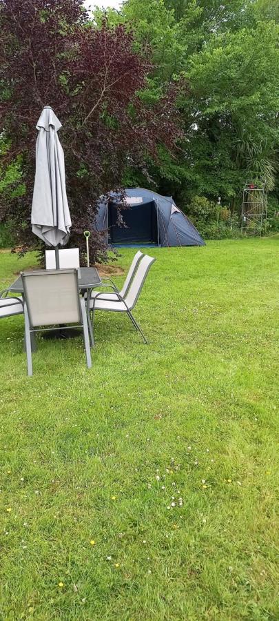 Large Family Home In Wexford Marys B&B เอนนิสคอร์ธี ภายนอก รูปภาพ