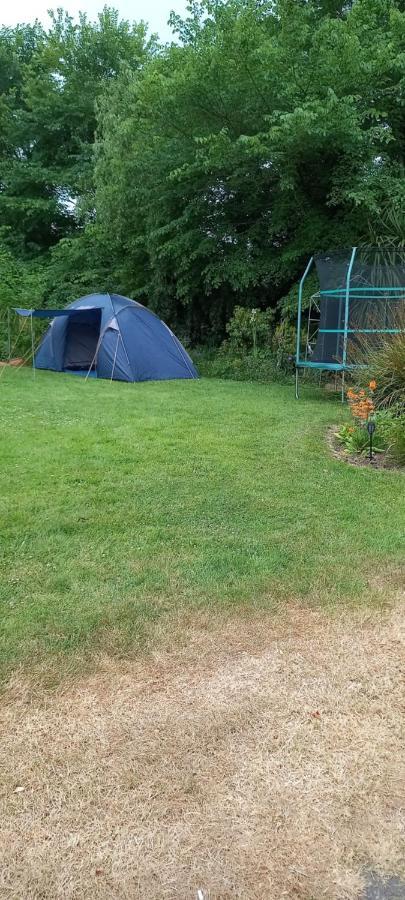 Large Family Home In Wexford Marys B&B เอนนิสคอร์ธี ภายนอก รูปภาพ